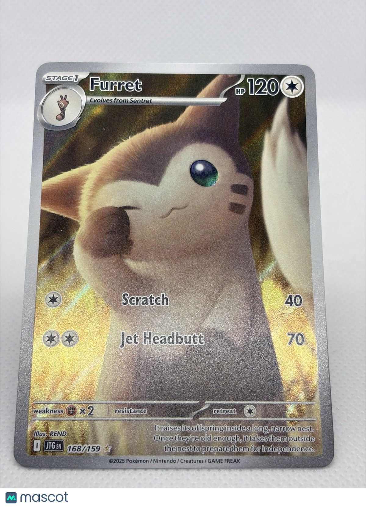 Pokémon Furret Illustration Rare Holo 168/159 Sv09 Journey Together English